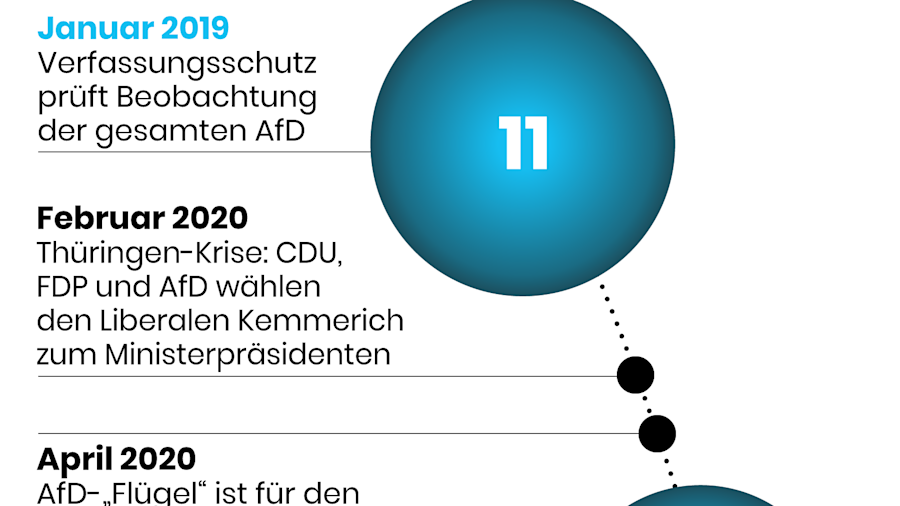 AfD: Aufstieg Und Fall | The Pioneer