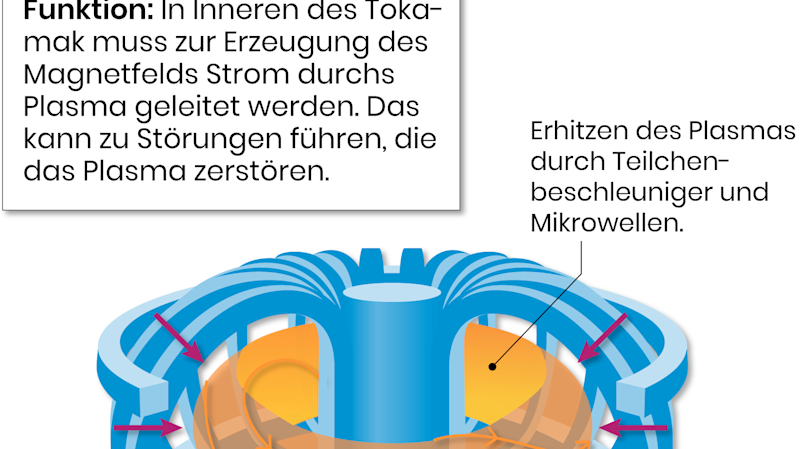 Der Tokamak The Pioneer