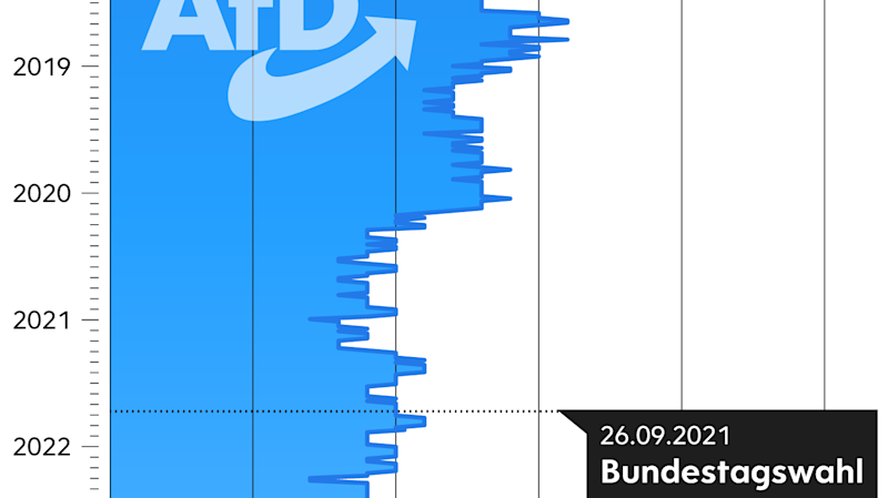 AfD: Die Geschichte eines Aufstiegs | The Pioneer