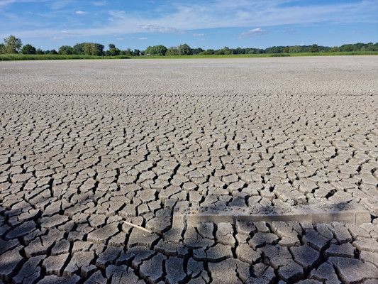 Die JahrhundertDürre appmeta.title