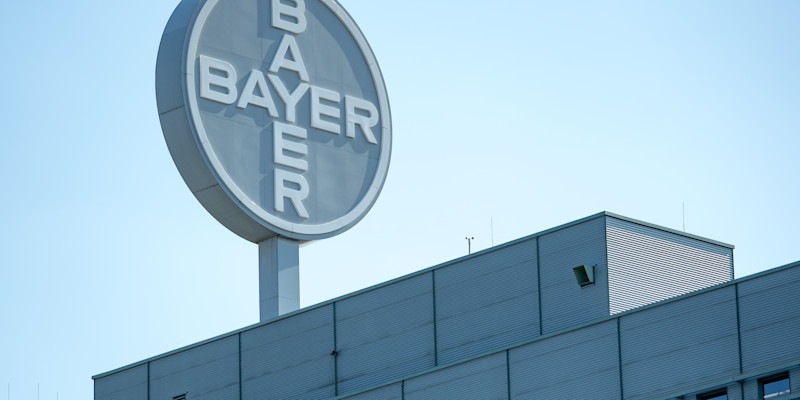 Das Comeback von Bayer The Pioneer