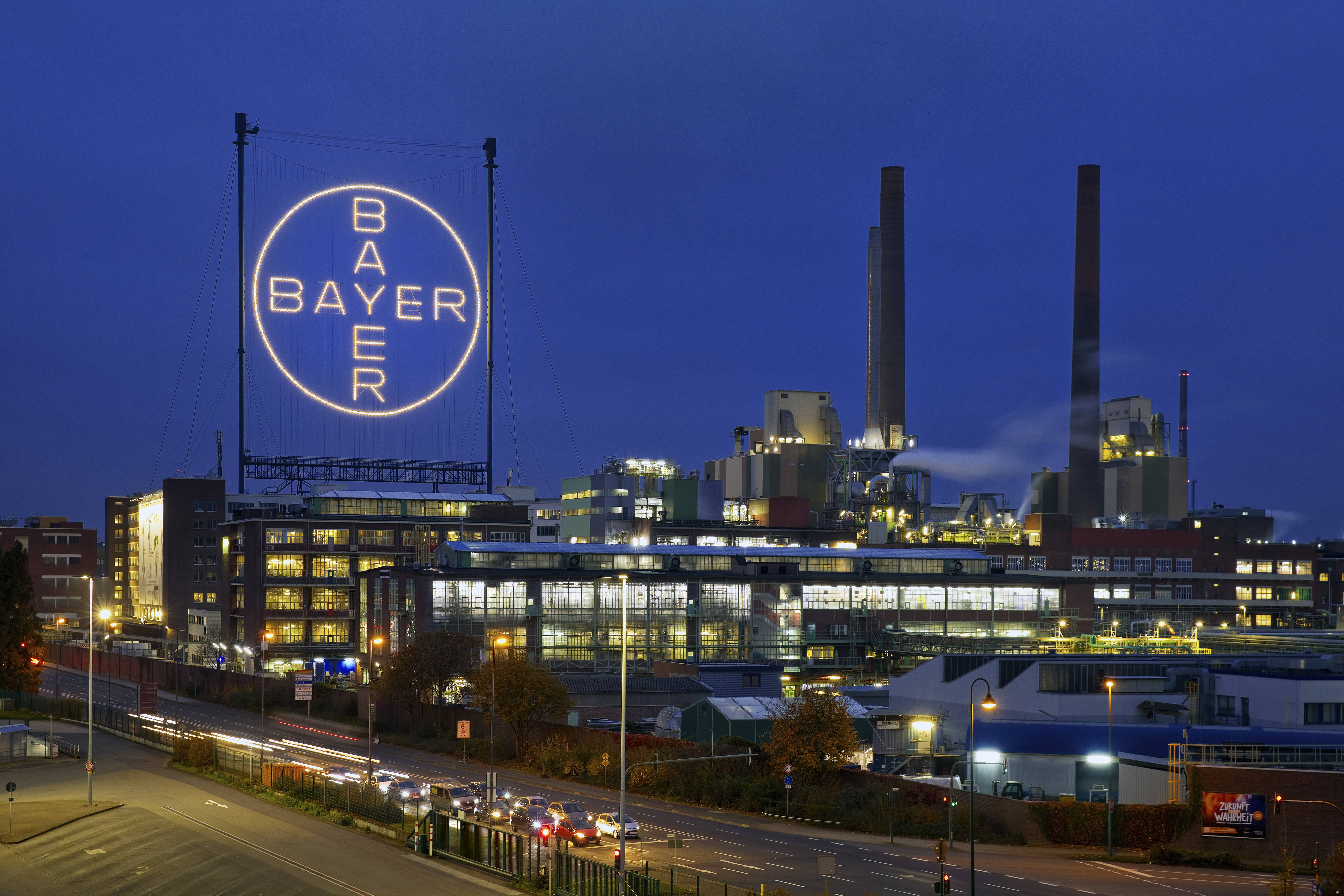 Bayer: Was die Aktie so stark macht | The Pioneer
