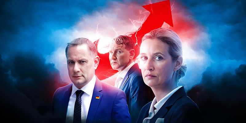 Das Comeback der AfD | The Pioneer
