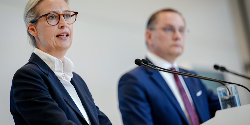Gericht bremst Verfassungsschutz: Drei Schlüsse aus dem AfD-Entscheid | The Pioneer